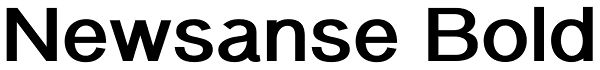 Newsanse Bold Font