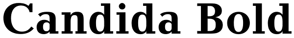 Candida Bold Font