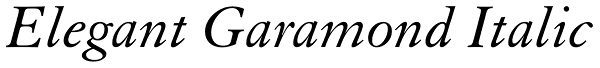 Elegant Garamond Italic Font