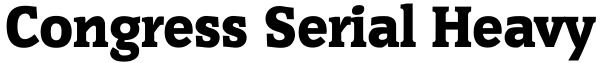 Congress Serial Heavy Font