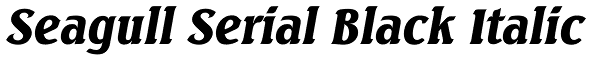 Seagull Serial Black Italic Font