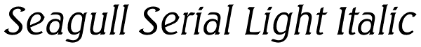 Seagull Serial Light Italic Font