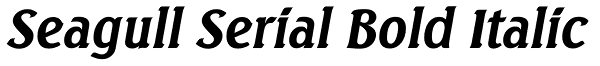 Seagull Serial Bold Italic Font