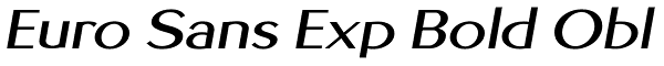 Euro Sans Exp Bold Obl Font