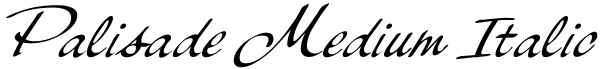 Palisade Medium Italic Font