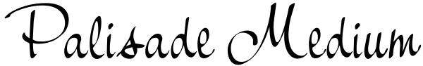 Palisade Medium Font