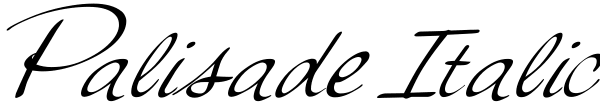 Palisade Italic Font