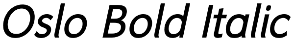 Oslo Bold Italic Font