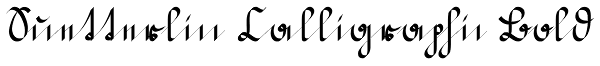 Suetterlin Calligraphic Bold Font