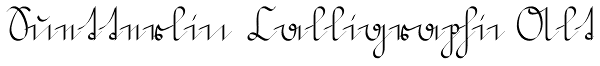 Suetterlin Calligraphic Alt Font