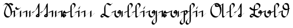 Suetterlin Calligraphic Alt Bold Font