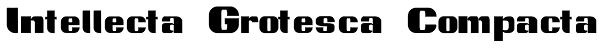 Intellecta Grotesca Compacta Font