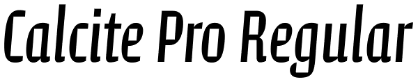 Calcite Pro Regular Font