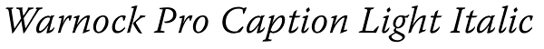 Warnock Pro Caption Light Italic Font