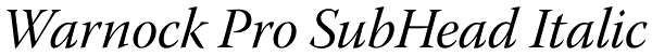 Warnock Pro SubHead Italic Font