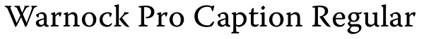 Warnock Pro Caption Regular Font