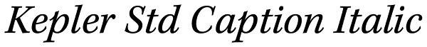 Kepler Std Caption Italic Font