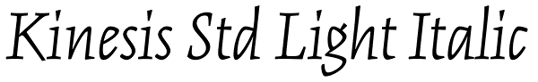 Kinesis Std Light Italic Font