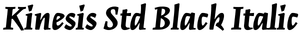 Kinesis Std Black Italic Font