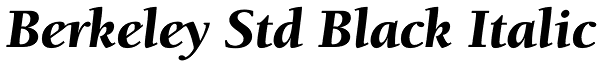 Berkeley Std Black Italic Font