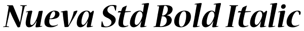 Nueva Std Bold Italic Font