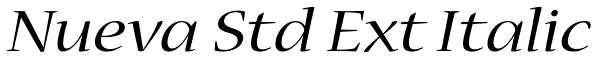 Nueva Std Ext Italic Font