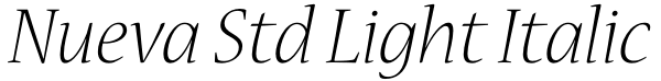 Nueva Std Light Italic Font