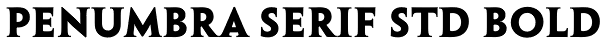 Penumbra Serif Std Bold Font