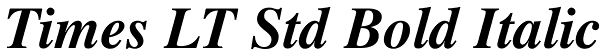 Times LT Std Bold Italic Font