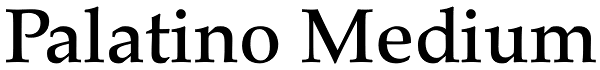 Palatino Medium Font