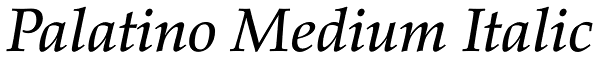 Palatino Medium Italic Font