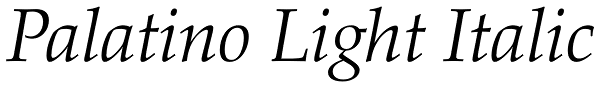 Palatino Light Italic Font