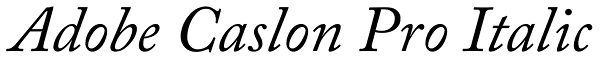 Adobe Caslon Pro Italic Font