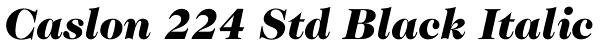 Caslon 224 Std Black Italic Font