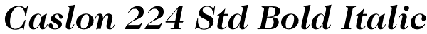 Caslon 224 Std Bold Italic Font
