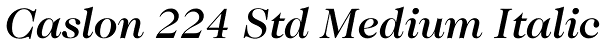 Caslon 224 Std Medium Italic Font