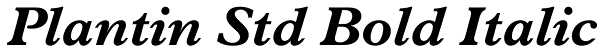 Plantin Std Bold Italic Font