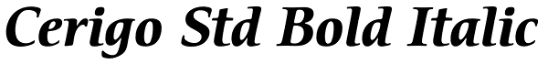 Cerigo Std Bold Italic Font