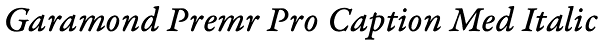 Garamond Premr Pro Caption Med Italic Font