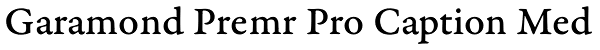 Garamond Premr Pro Caption Med Font