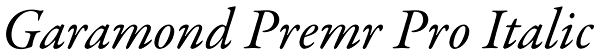 Garamond Premr Pro Italic Font