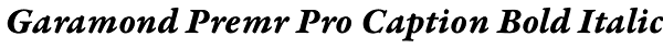 Garamond Premr Pro Caption Bold Italic Font