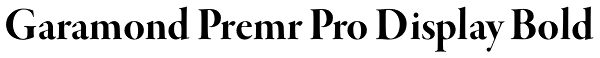 Garamond Premr Pro Display Bold Font