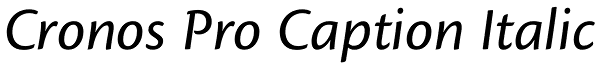 Cronos Pro Caption Italic Font