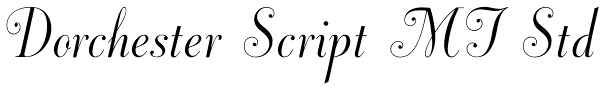 Dorchester Script MT Std Font