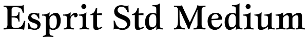 Esprit Std Medium Font