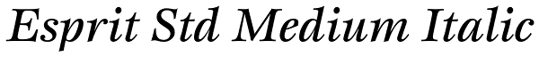 Esprit Std Medium Italic Font