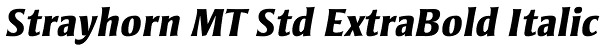 Strayhorn MT Std ExtraBold Italic Font