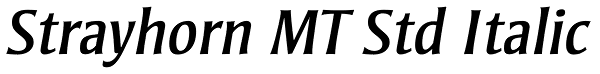 Strayhorn MT Std Italic Font