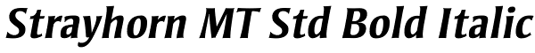 Strayhorn MT Std Bold Italic Font